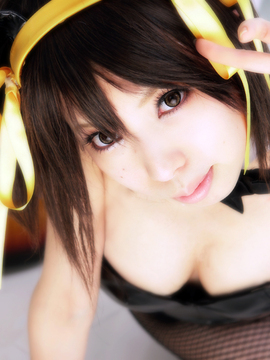 [Sparkle] Lupinas Yellow_343
