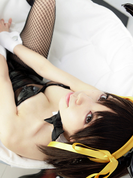 [Sparkle] Lupinas Yellow_351