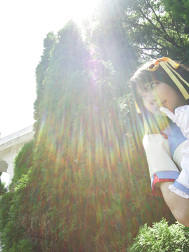 [Sparkle] Lupinas Yellow_364