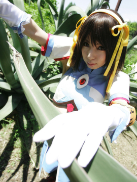 [Sparkle] Lupinas Yellow_365
