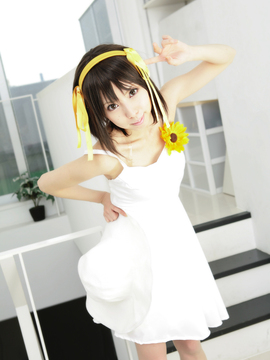 [Sparkle] Lupinas Yellow_397