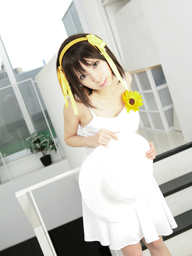 [Sparkle] Lupinas Yellow_398