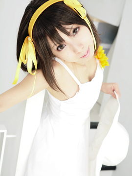 [Sparkle] Lupinas Yellow_399