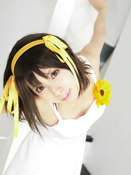 [Sparkle] Lupinas Yellow_400