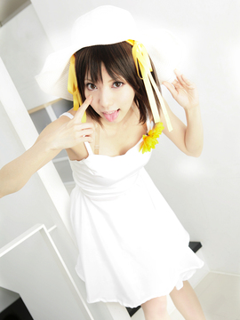 [Sparkle] Lupinas Yellow_401