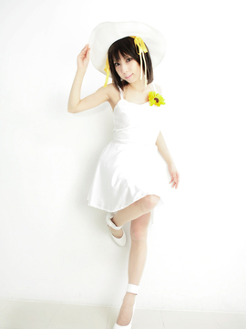 [Sparkle] Lupinas Yellow_403