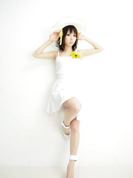 [Sparkle] Lupinas Yellow_409