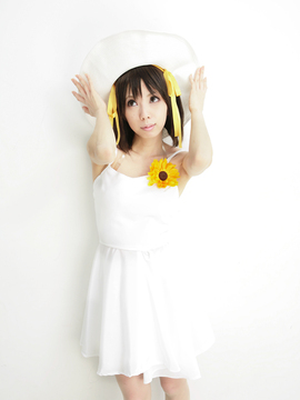 [Sparkle] Lupinas Yellow_412