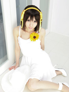 [Sparkle] Lupinas Yellow_413