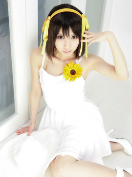 [Sparkle] Lupinas Yellow_414