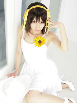 [Sparkle] Lupinas Yellow_415