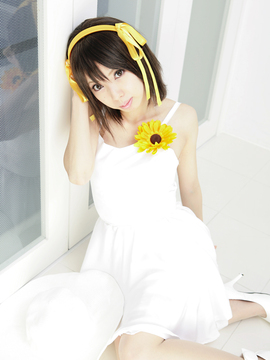 [Sparkle] Lupinas Yellow_416