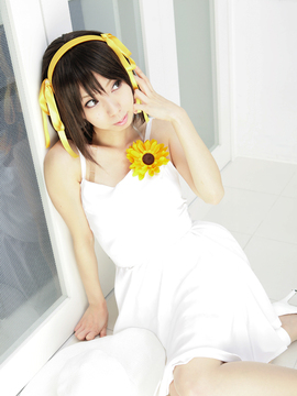 [Sparkle] Lupinas Yellow_418
