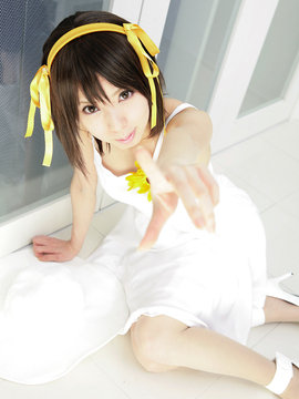 [Sparkle] Lupinas Yellow_419