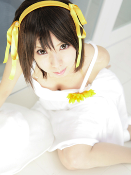 [Sparkle] Lupinas Yellow_420
