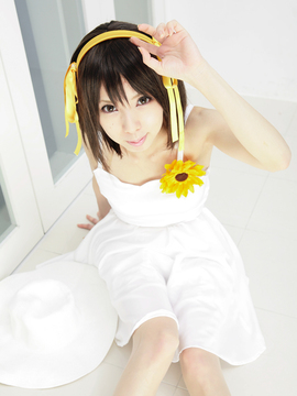 [Sparkle] Lupinas Yellow_421
