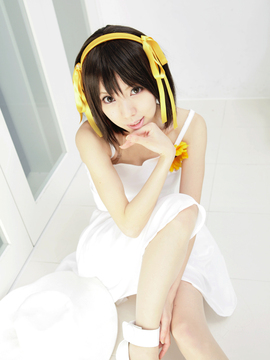 [Sparkle] Lupinas Yellow_422
