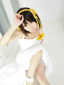 [Sparkle] Lupinas Yellow_423