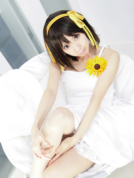 [Sparkle] Lupinas Yellow_424
