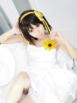 [Sparkle] Lupinas Yellow_425