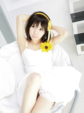 [Sparkle] Lupinas Yellow_426