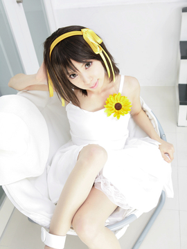 [Sparkle] Lupinas Yellow_427
