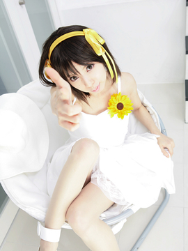 [Sparkle] Lupinas Yellow_428