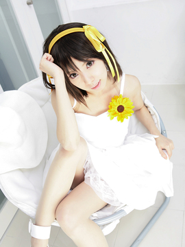 [Sparkle] Lupinas Yellow_429