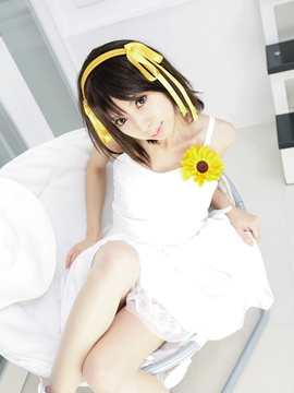 [Sparkle] Lupinas Yellow_430
