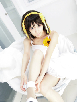 [Sparkle] Lupinas Yellow_432
