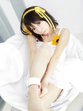 [Sparkle] Lupinas Yellow_433