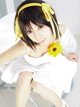 [Sparkle] Lupinas Yellow_438