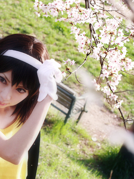 [Sparkle] Lupinas Yellow_440