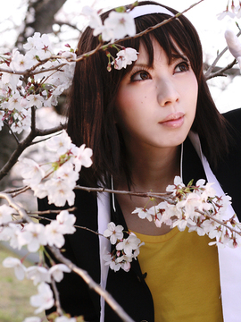 [Sparkle] Lupinas Yellow_441