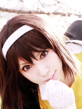 [Sparkle] Lupinas Yellow_443