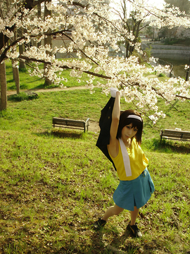 [Sparkle] Lupinas Yellow_444