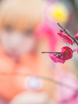 《甘城光辉游乐园！》拉媞珐·芙尔兰札公主C O S PLAY_0150