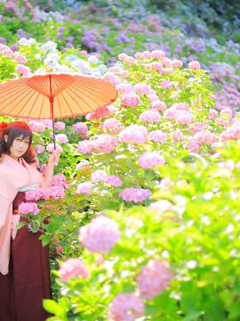 かぃん隊これくしょんvol8_421