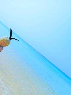 かぃん隊これくしょんvol8_617