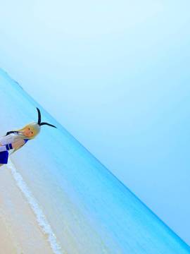 かぃん隊これくしょんvol8_624