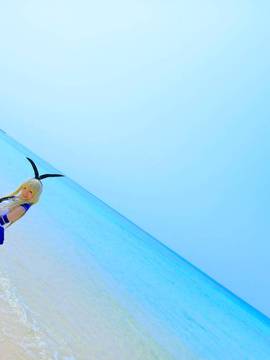 かぃん隊これくしょんvol8_625