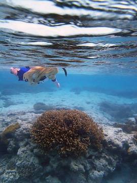 かぃん隊これくしょんvol8_692