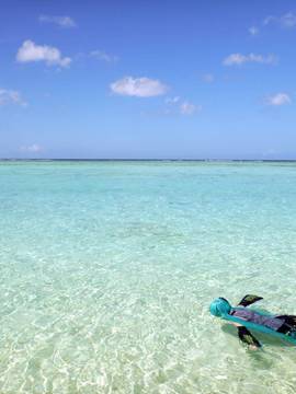 [Milk Crown] Underoid_315