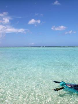 [Milk Crown] Underoid_316