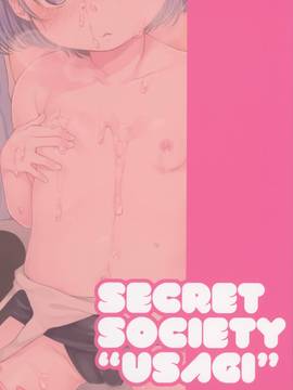 [JoeOtaku+Ace汉化] (C88) [秘密結社うさぎ (だんちょ)] CUSTOM LOVECATs 2nd_23_22