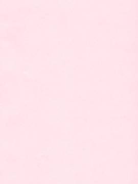 (同人誌) [SMUGGLER (カズヲダイスケ)] うそつきへんたい兄さんなんて大キライ!! (エロマンガ先生)_002