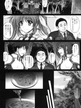 (C90) [サイクロン (和泉、れいぜい)] 1005NANO サイクロンの総集編 (魔法少女リリカルなのは)_010