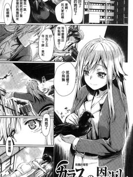[風的工房][カタセミナミ] 痴的セクスチュア + とらのあなリーフレット 癡的淫猥性愛姿態_193